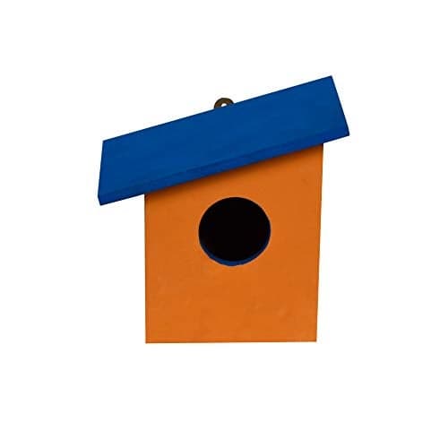 Cket Bird House for Sparrow, Hummingbird, Kingfisher Bird Nest for Balcony Made with Water Resistant Wooden with Hanging and Wall Patch (Wooden) (Blue)