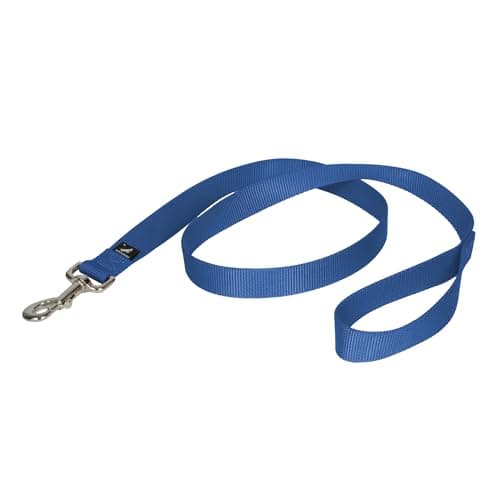 PetSafe Nylon Leash - Chew-Resistant Cat & Dog Behavioral Training Leash - Compatible with Easy-Walk Harness - Traditional-Style Reliable Pet Lead with a Padded Hand Wrap - 1" x 4' - Royal Blue