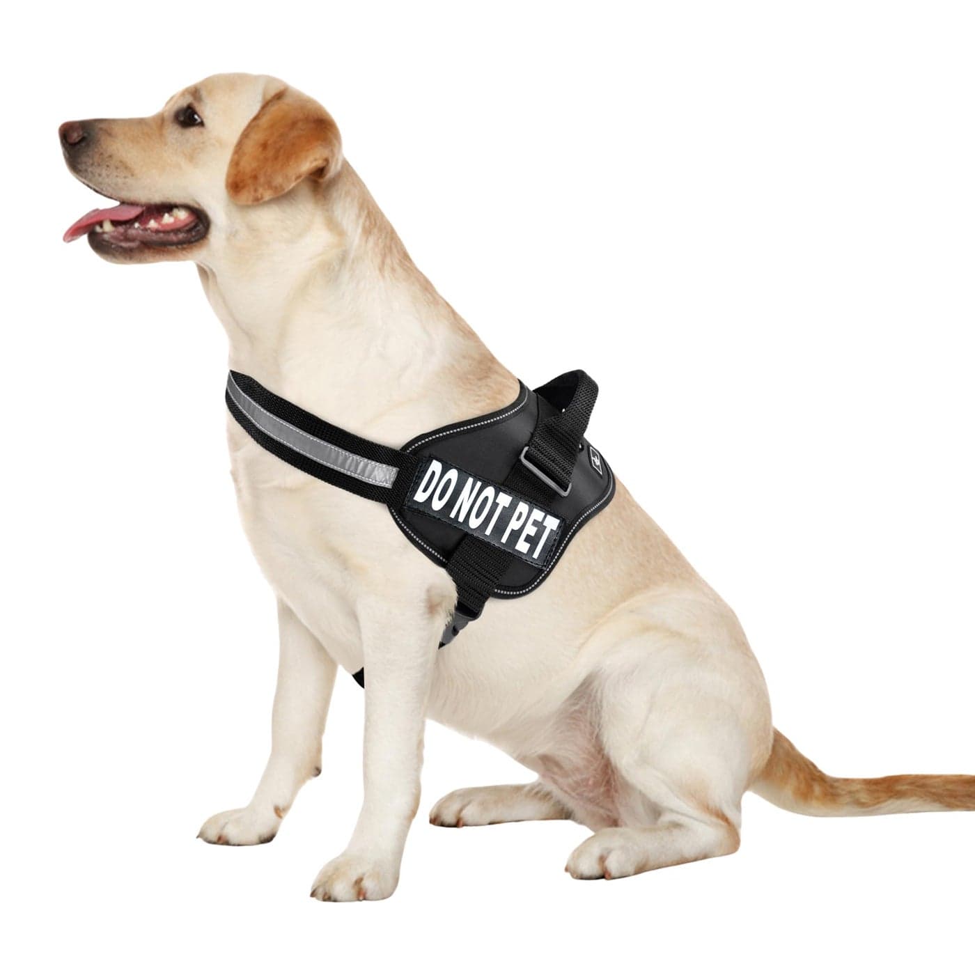 Doggie Stylz Dog Harness with DO NOT PET Patches No Pull Service Dog Vest and Service Animal Vest for Dogs Adjustable Gentle Leader for Dogs Reflective HeavyDuty for Training and Walking