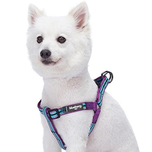 Blueberry Pet 5 Colors Step-in 3M Reflective Multi-Colored Stripe Padded Dog Harness, Chest Girth 26" - 39", Violet & River Blue, Large, Adjustable Harnesses for Dogs