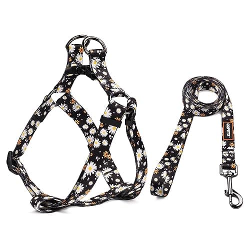 QQPETS Dog Harness Leash Set Adjustable Heavy Duty No Pull Halter Harnesses for Small Medium Large Breed Dogs Back Clip Anti-Twist Perfect for Walking (M(19"-26" Chest Girth), White Daisy)