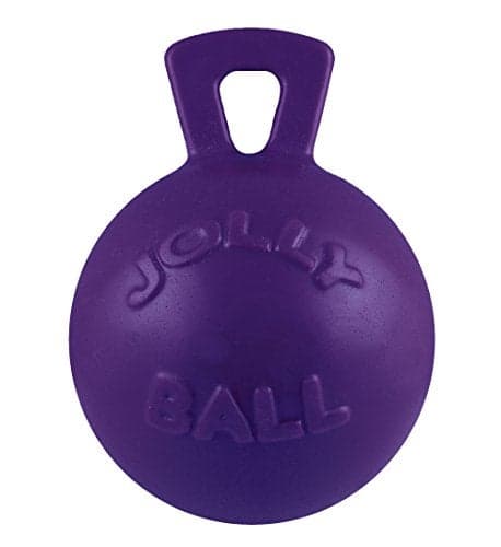 Jolly Pets Tug-n-Toss Heavy Duty Dog Toy Ball with Handle, 6 Inches/Medium, Purple