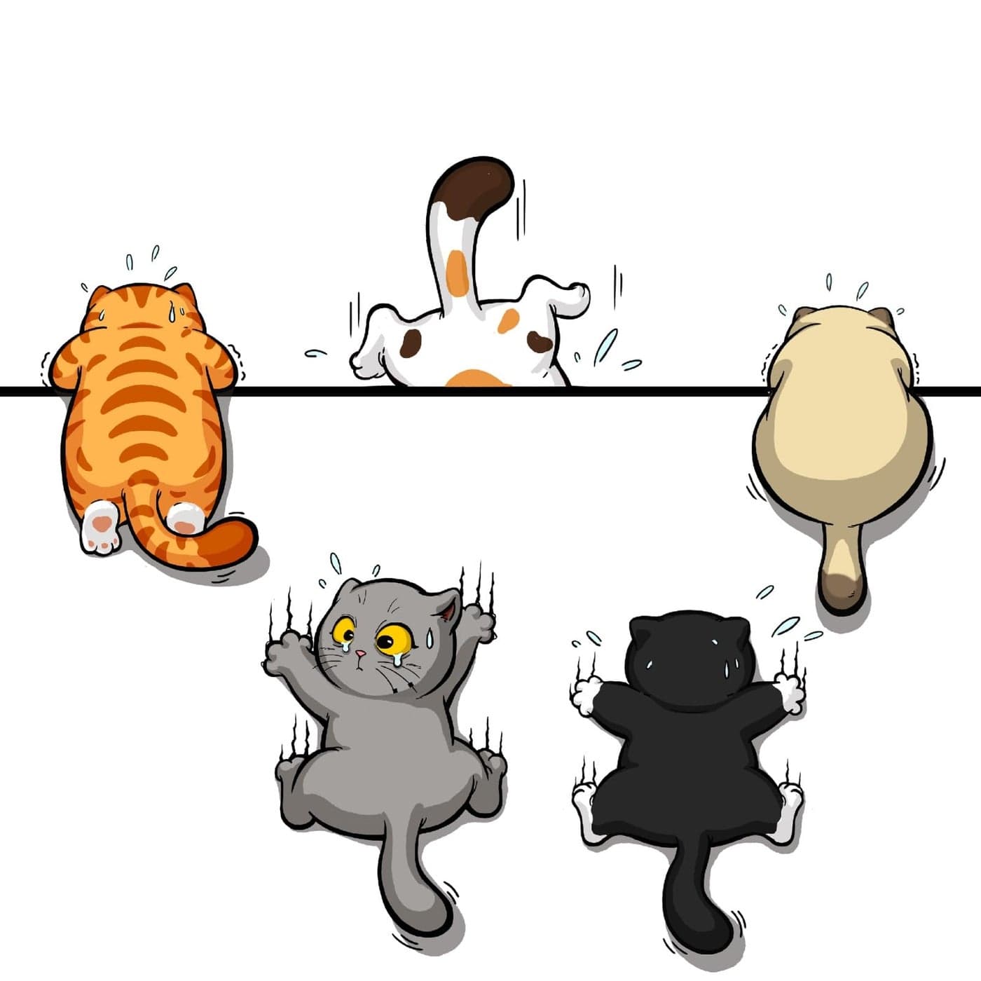 5Pcs Scratch Cat Vinyl Car Stickers MultiColor Cats Scratch Cover Funny Bumper Decals for Auto Truck Motorcycle Helmet Medium