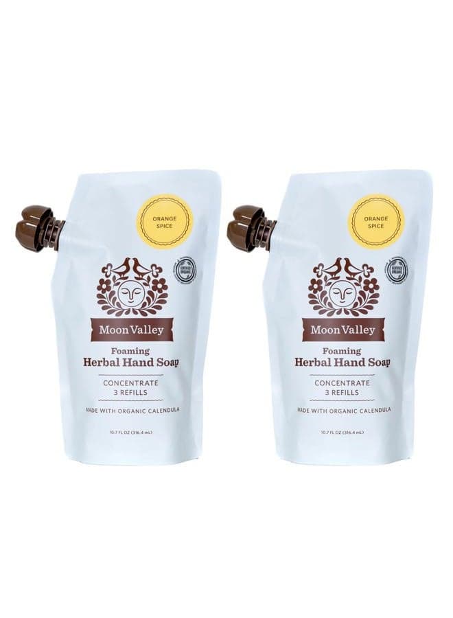 HAND SOAP REFILL POUCH -ORANGE SPICE (2PACK)