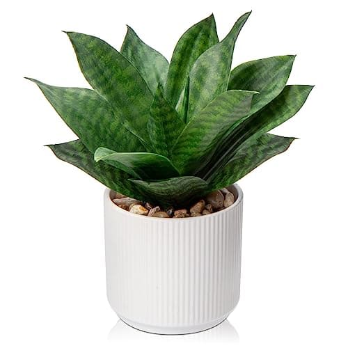 Artificial Agave Succulent Plants Faux Snake Plant Fake Succulent Agave Plant Potted in White Pot Succulent Aloe Plant for Desk Modern Office Living Room Table Shelf Home Indoor Outdoor Decor