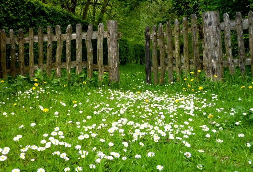AOFOTO 8x6ft Spring Garden Daisy Flower Backdrop Rustic Wood Fence Summer Meadow Photography Background Forest Wonderland Grass Florets Country Hiking Suburbs Picnic Girl Boy Scouts Photo Studio Props