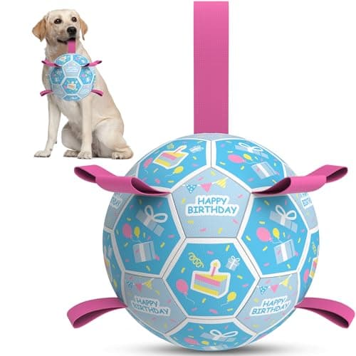 QDAN Dog Birthday Toys, Soccer Ball for Dogs with Straps, Dog Ball Toy, Puppy Birthday Gifts, Durable Herding Balls for Medium Large Dogs (8 inch)