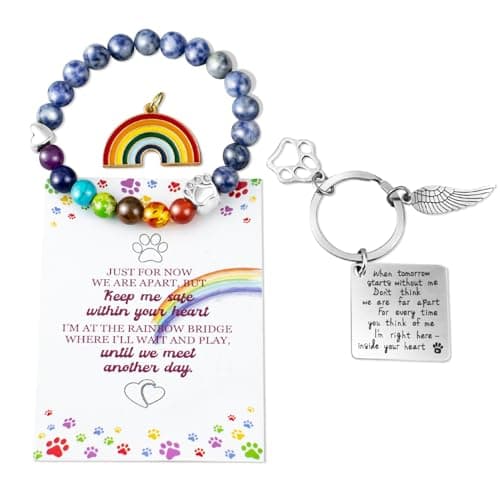 BEABOY Pet Memorial Gifts, Pet Sympathy Gift, Rainbow Bridge Bracelet for Beloved Dog Cat,8MM Mixed Color Bead 7 Chakra Pet Memorial Bracelet for Women Men Who Loss of Pets, Pet Sympathy Gift
