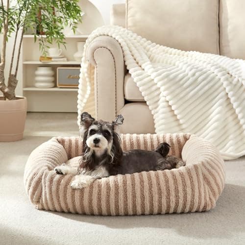 MIXJOY Dog Beds for Small Dogs Cats Washable Dog Bed with Removable Cover Soft Calming Cat Bed for Indoor Cats Rectangle Pet Sofa Bed for Puppy Kitty AntiSlip Bottom20x19x6 Beige