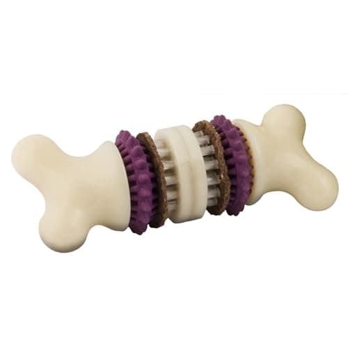 PetSafe Busy Buddy Bristle Bone Chew Toy for Dogs Boredom Relief Dental Care Durable Nylon Build with Rubber Nubs Includes Treat Ring Refills Dishwasher Safe Design