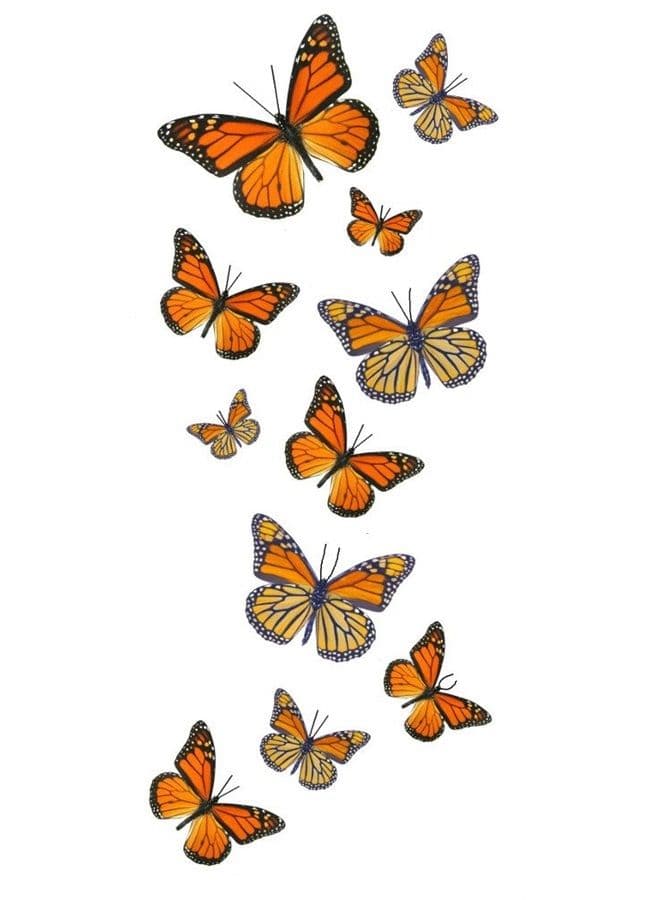 55 Monarch Butterfly Temporary Tattoos