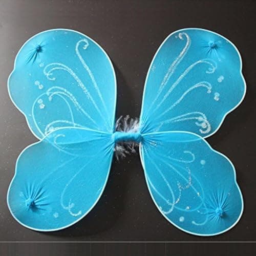 Dushi fairy wings