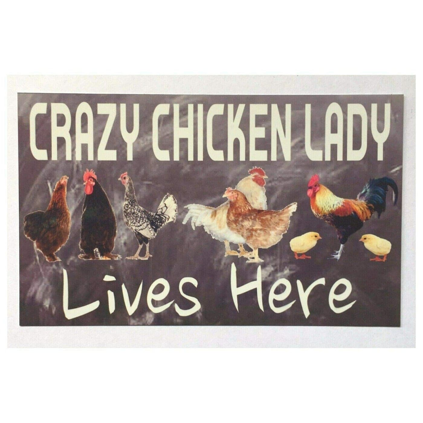 New Vintage Retro Metal Tin Sign Funny Crazy Chicken Lady Lives Here Farm Country Street Garage Home Bar Club Kitchen Hotel Wall Decor Metal Plaque Sign 12X8Inch