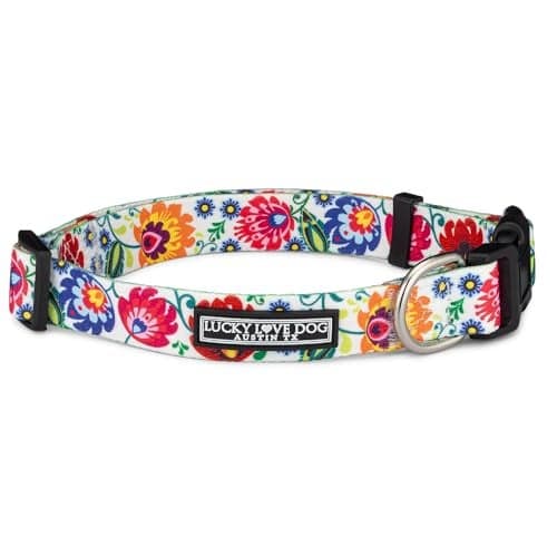 Lucky Love Dog - Adjustable Dog Collar with Easy Click Buckle for Small to Large Ones, Durable, & Comfortable for Male & Female Dogs, Pet Collar for Puppies & Adult Dogs - Ladybird, XS