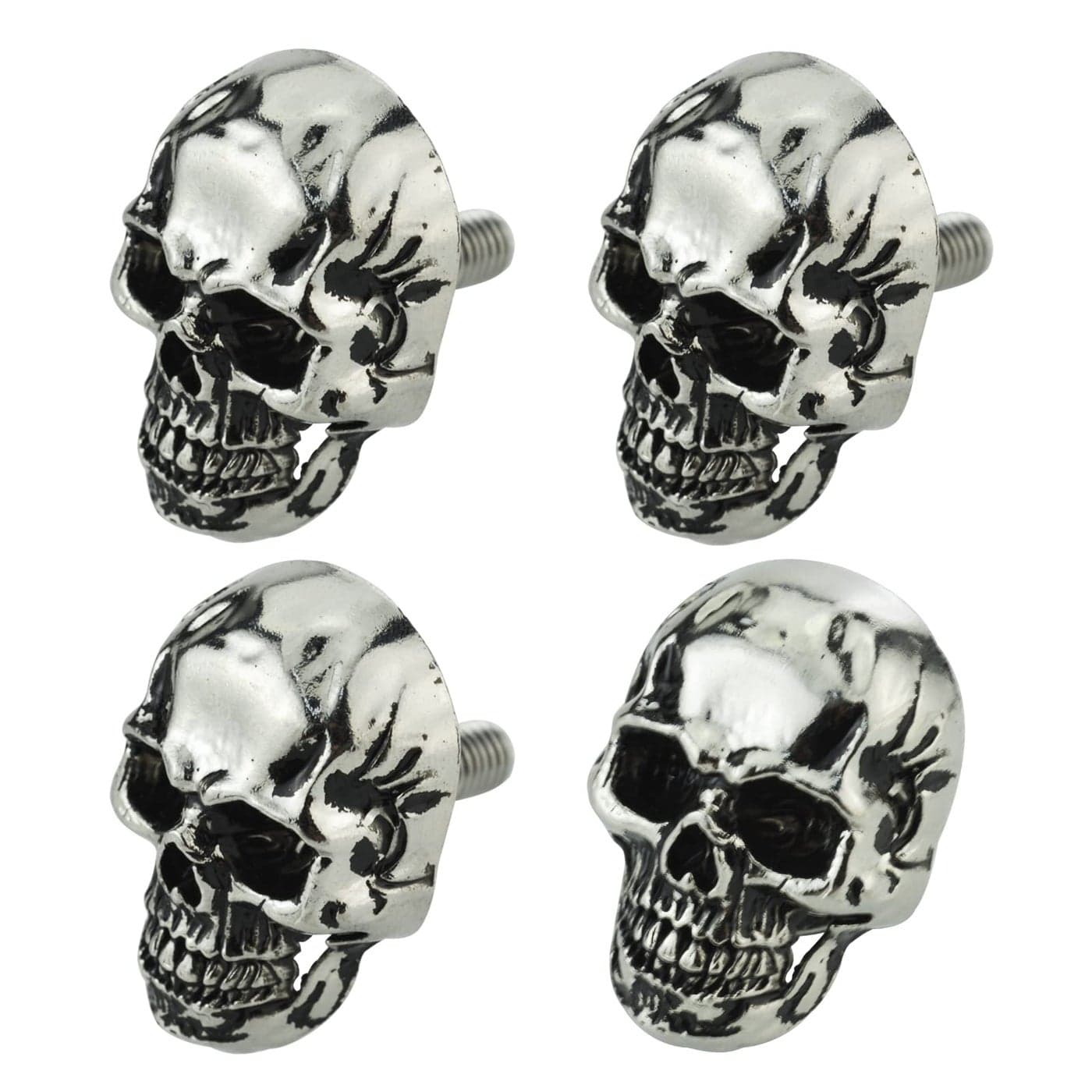 Arenbel Skull Bolts Motorcycle License Plate Frame Fasteners Car Tag Screw Kit Fit Vehicles Motorcycle Trucks SUV 4Pcs Silver