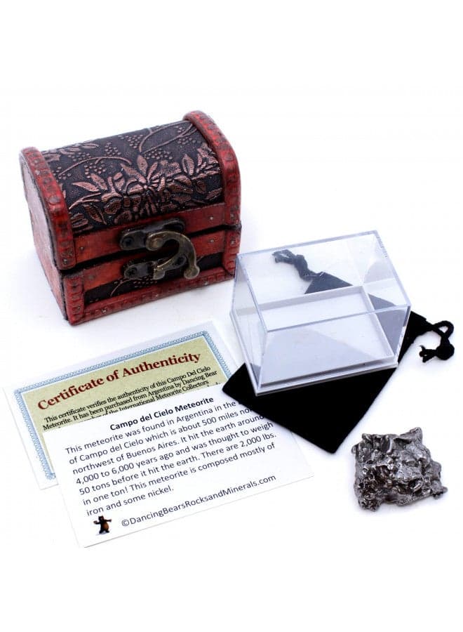 DANCING BEAR Real Meteorite Extra Large (35-55g) Genuine Form Campo Del Cielo Argentina, Certificate of Authenticity, Display Case, ID Card, Space Rock, Assembled in The USA