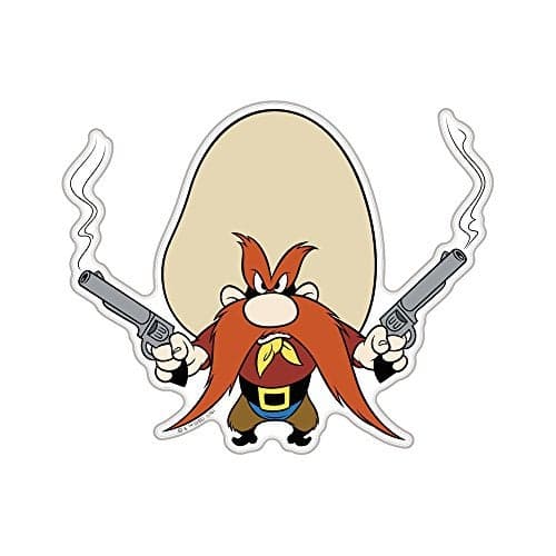 Fan Emblems Road Runner Car Decal Classic Looney Tunes Character Automotive Domed Transparent 77 x 41 x 01 inches