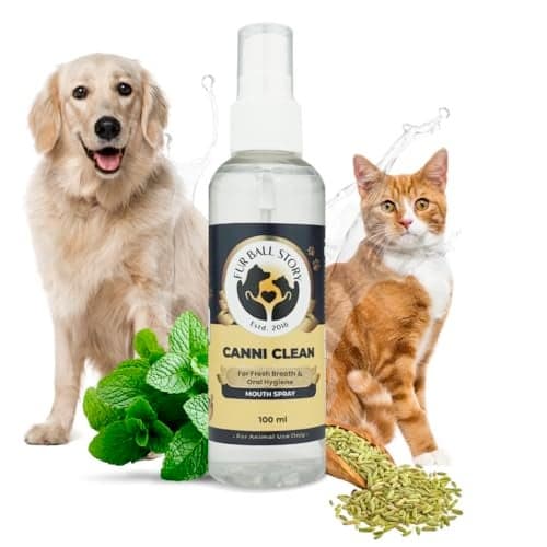 FUR BALL STORY Canni Clean Oral Care Spray for Dogs| Pet Dental Spray for Fresh Breath, Plaque & Tartar Removal | Supports Gum Health & Teeth Cleaning | with Peppermint, Fennel (Saunf) & Clove Oil