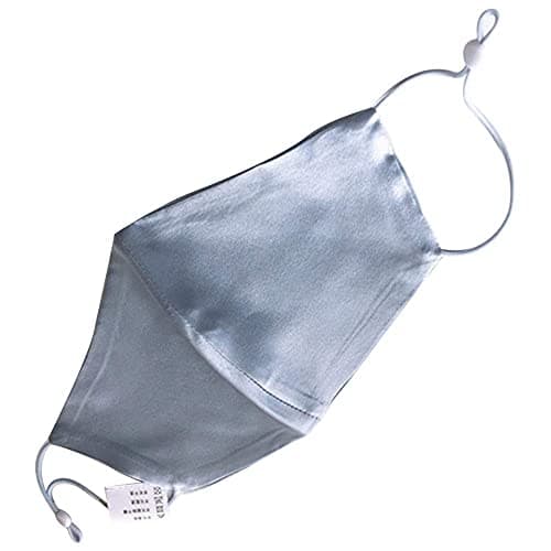 ROSEWARD 100% Mulberry Silk Face Mask with Filter Pocket Adjustable Ear Strap (Blue)