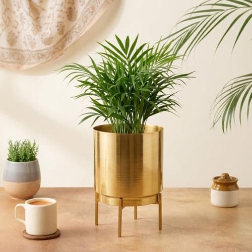 HomeShastra® Ember Gold Metal Planter Set with Stand | 8 inch (Height) by 6 Inch (Dia) | Planters for Living Room, Bedroom (Pack of 1)