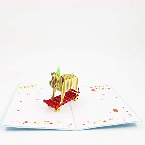 POP CARD EXPRESS Bulldog Skateboard Birthday Card - Happy Birthday Pop Up Card for son, daughter, wife, friends, Nature, Animal, dog lovers (Bulldog Birthday Card)