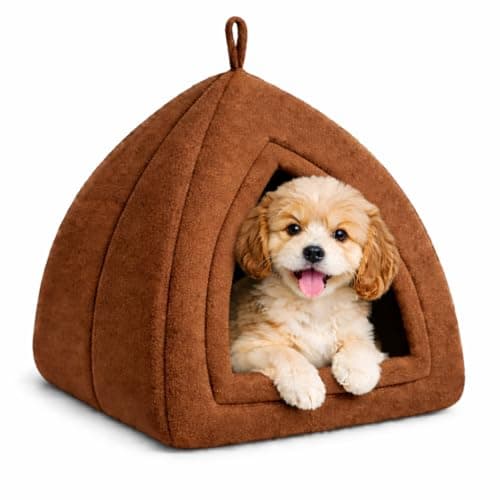 ZEXSAZONE Premium Dome Shape Soft Plush Pet Bed for Puppies, Small Dogs & Cats | Cozy Indoor Pet House with Removable Cushion& Washable Cushion | Warm Cave Design Summer Pet Bed (42 x 40 x 40 CM)