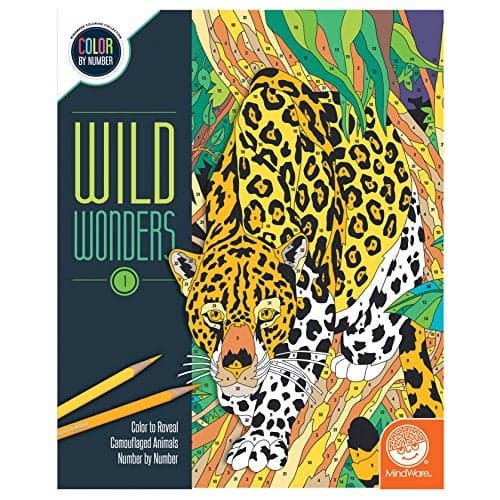 Color by Number Wild Wonders Book 1