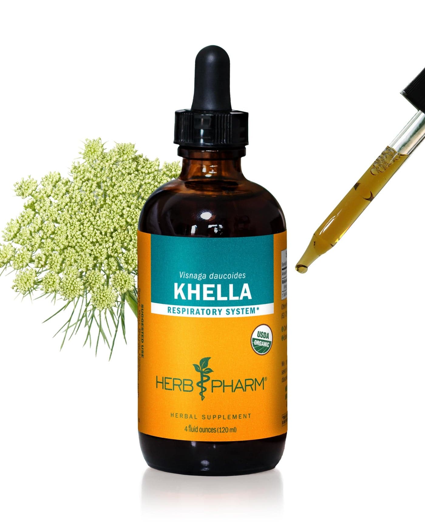 Khella Liquid Extract for Respiratory System Support 4 Ounce