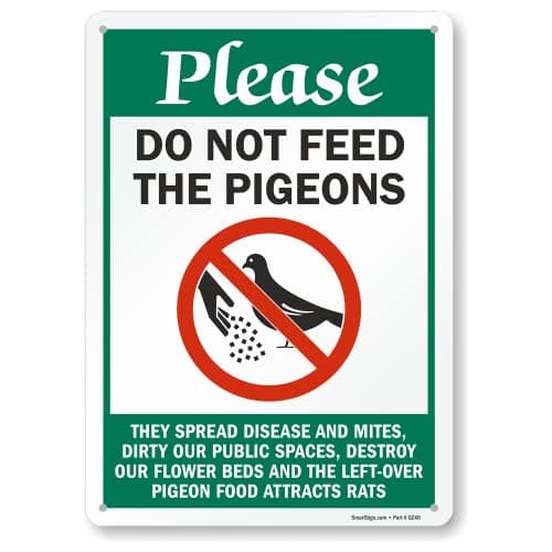 SmartSign 14 x 10 inch “Please Do Not Feed The Pigeons - They Spread Disease And Mites” Metal Sign, 40 mil Laminated Rustproof Aluminum, Multicolor, Made in USA