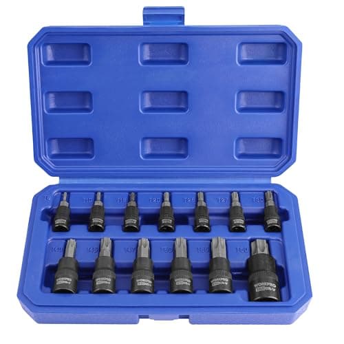 WORKPRO Torx Bit Socket Set, 1/4", 3/8" and 1/2" Drive Torx Bits 13-Piece Socket Set T8-T60, Premium S2 Steel Bits and CR-V Sockets with Storage Case