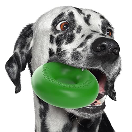 Goughnuts — Dog Toys for Aggressive Chewers | Virtually Indestructible Dog Toys for Medium Breeds Such as Pit Bulls and German Shepherds | Heavy Duty Dog Toy | Green