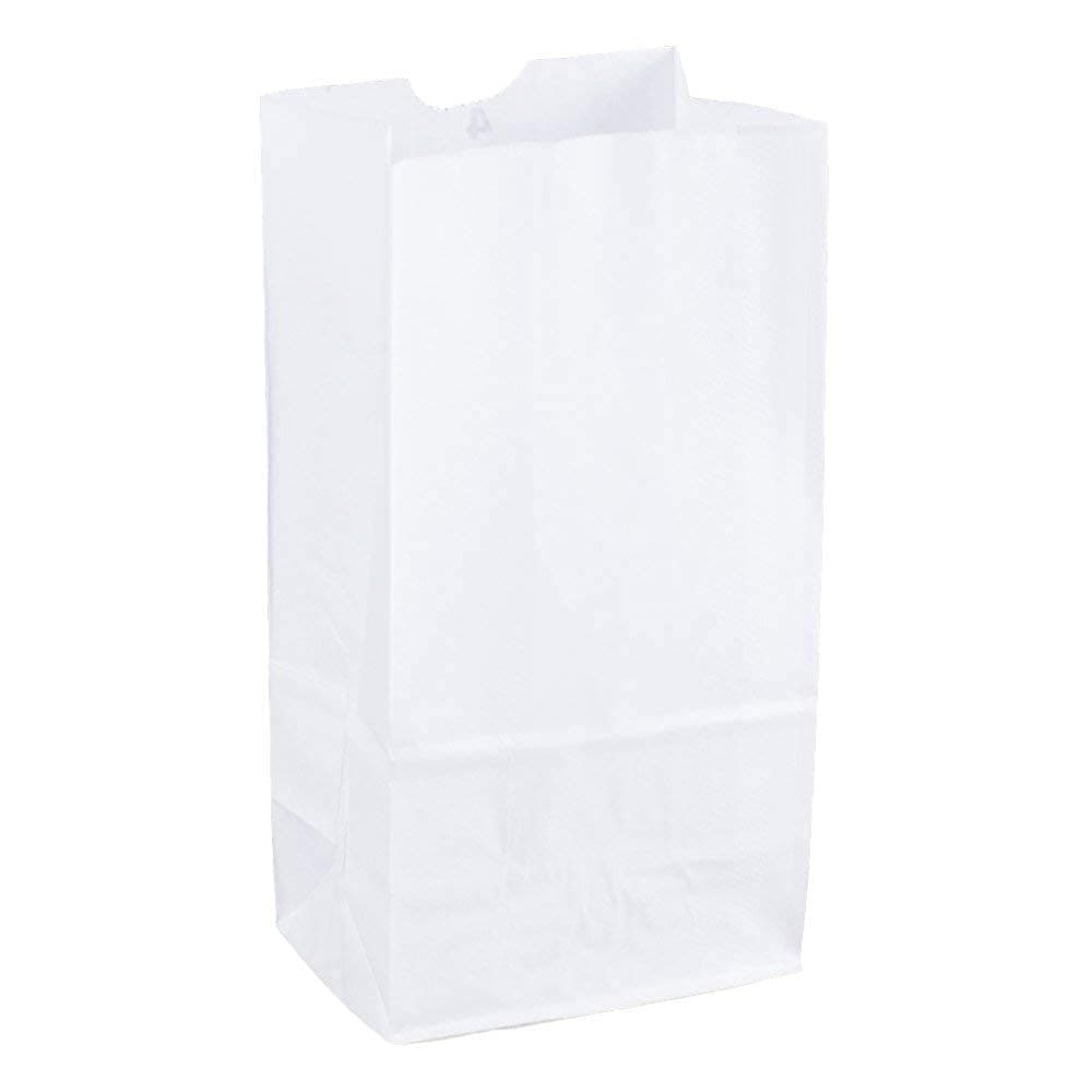 4lb White Kraft Paper Bags Pack of 100ct