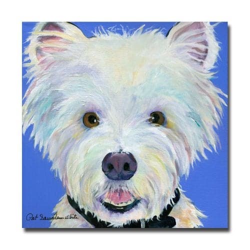 Trademark Fine Art Amos Canvas Art by Pat Saunders White, 18 by 18-Inch
