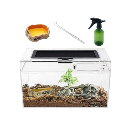Mini Reptile Terrarium Set,12" x 7"x 6" Low Reptile Tank with Full View Visually Appealing,for Insect,Fish,Tarantula,Hermit Crab,Jumping Spider,Iguana,Tortoise,Leopard Gecko,Frog,Bearded Dragon