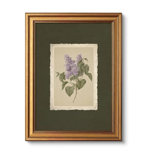 VIYYIEA Vintage Gold Framed Wall Art, Aesthetic Botanical Violet Flower Herb Canvas Prints Paintings, French Country Farmhouse Wall Decor For Kitchen Bathroom Bedroom, 12x16inch
