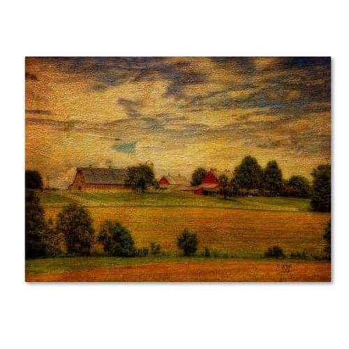 Trademark Fine Art Summer Farm Canvas Wall Art by Lois Bryan, 14 by 19-Inch