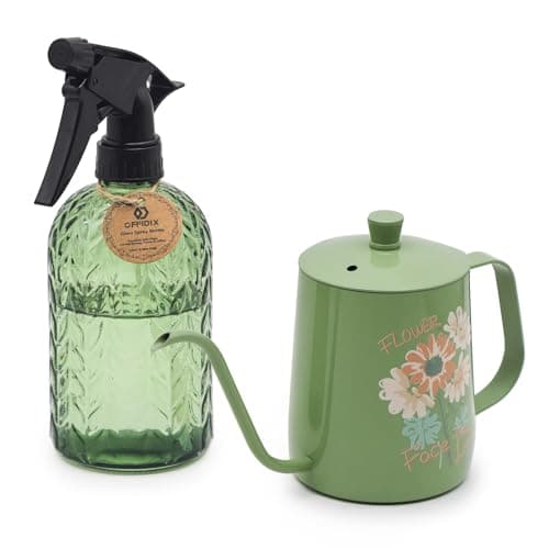 OFFIDIX Watering Can for Indoor Plants,Long Spout Metal Stainless Steel 21 oz Small Indoor Plant Watering Can with 14 oz Glass Plant Mister Spray Bottle for Inside