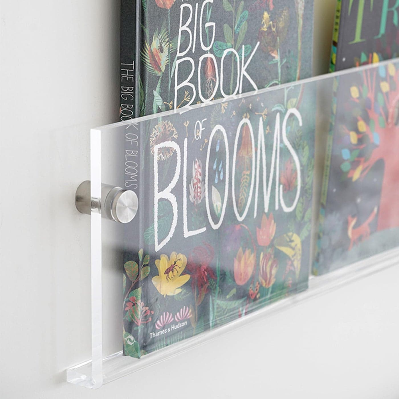 ROYALITA 2Pack Acrylic Magazine Holder Vinyl Records Holder Display Floating Nursery Bookshelves Wall Decor Hanging Magazine Holder for Waiting Room Living Room