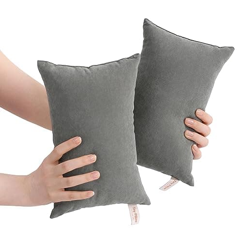 BEDSUM 2 Pack Tiny Pillows, 11"x7" Microfiber Mini Pillows for Travel, Pets, Soft and Machine Washable Small Pillows for Neck, Wrist, and Knee Comfort, Dark Grey