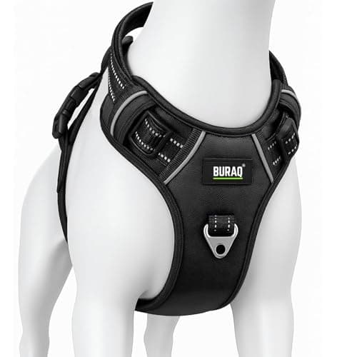 BURAQ Dog Harness | No Pull Dog Belt | Reflective Dog Vest Oxford Fabric | Soft Padded Easy Control Dog Chest Belt | No More Pulling Or Choking | for Large Medium Small Dogs, Black, Pack of 1