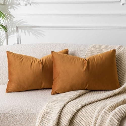 JUSPURBET Decorative Pillow Covers Set of 2 Velvet Throw Pillow Covers for Couch Sofa Bed Soft Lumbar Cushion Covers with Hidden Zipper for Living Room Home Decor,Rust,12x20 inch