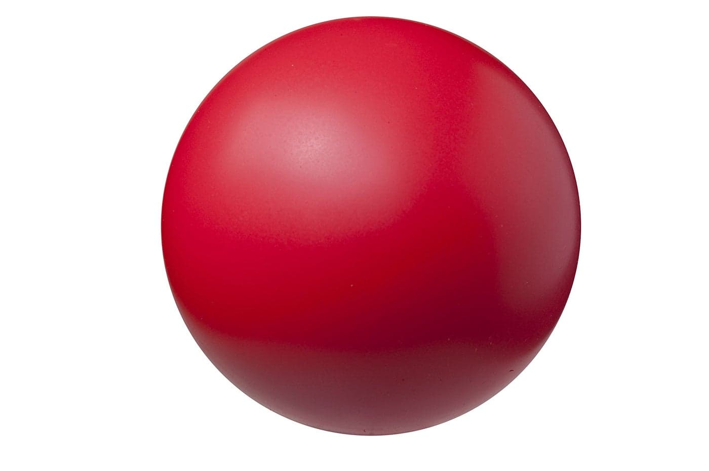 Champion Sports Coated High Density Foam Ball (8.5-Inch)