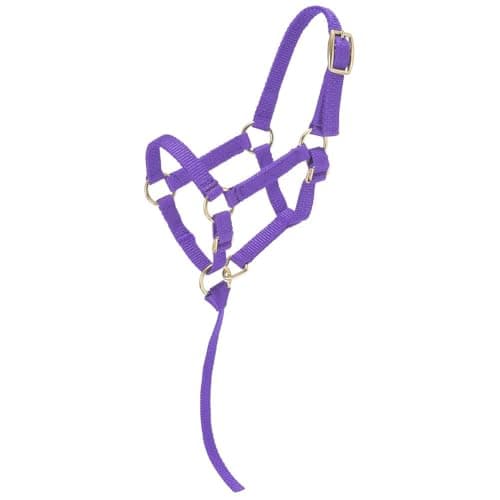 Tough 1 Miniature Nylon Halter - Purple - Small