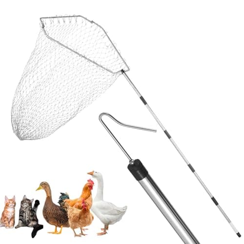 Chicken Net Catcher74 Adjustable Extension Pole Chicken Hook Catcher KitThe Animal Net Catcher Is Made Of Stainless SteelSuitable For Catching Small DuckGooseBirdFish Etc 153 x 232 Net