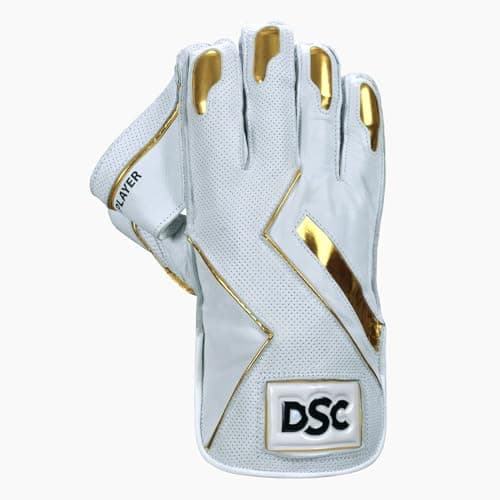 DSC Player Cricket Wicket Keeping Gloves 2025 | Size: Mens | Color: Multicolor