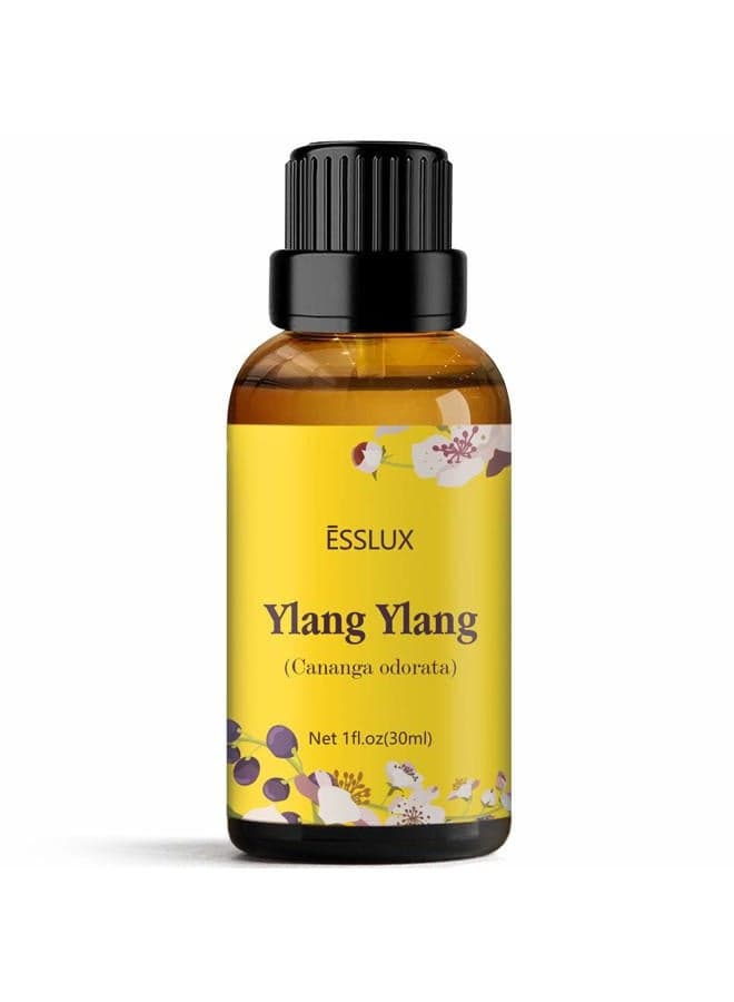 Ylang Ylang Essential Oil, Premium Grade Aromatherapy Essential Oils, Perfect for Diffuser, Massage, Soap & Candle Making, 30 ml