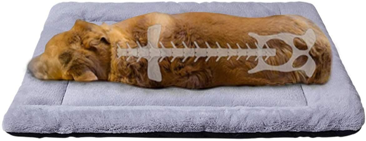 KOZI PET Summer Super Soft Dog & Cat Crate Fabric Bed -Fluffy Pet Bed All Season-Machine Wash & Dryer Friendly-Anti-Skid Pet Beds (Medium)