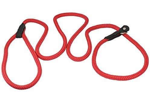 Dogs My Love Nylon Rope Slip Dog Lead Collar and Leash British Style 4ft Long (Small: 1/4" (6mm), Red)