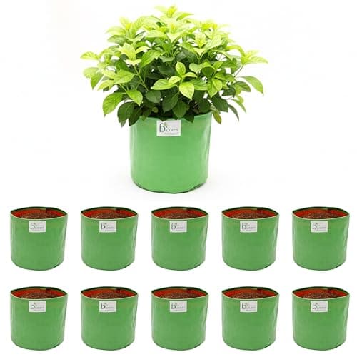 Bio Blooms Round HDPE Plant Grow Bag for Terrace & Kitchen Gardening | 12x12 | 200 GSM Heavy Duty Outdoor Grow Bag | Durable Planter for Vegetables, Flowers & Plants | Green & Orange