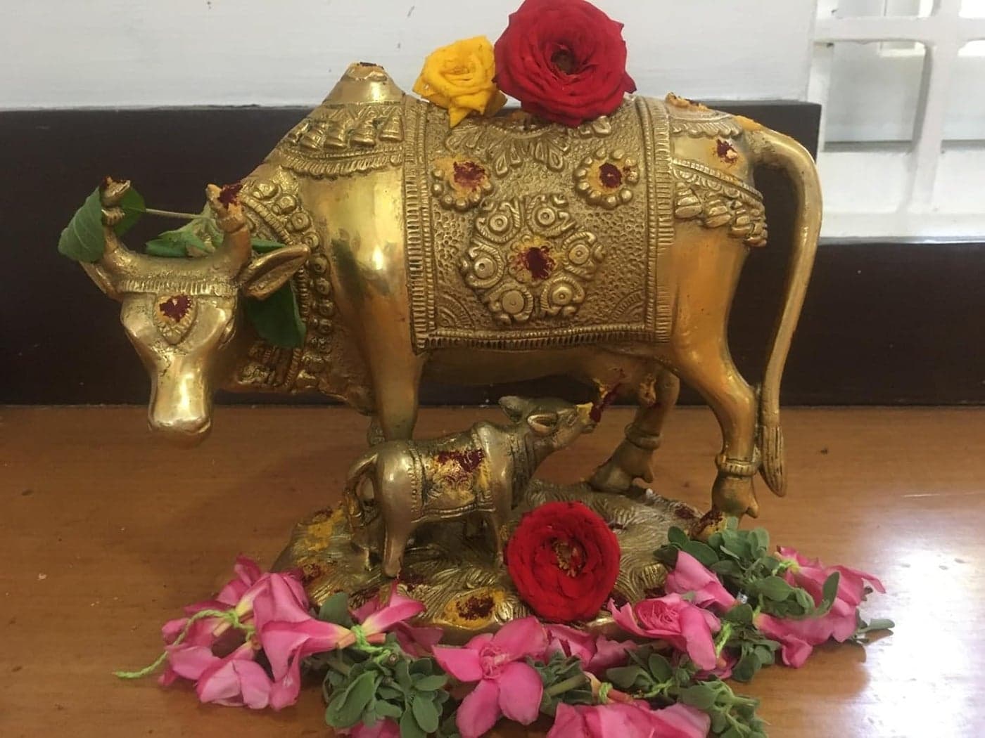 Pick End Now Brass Kamdhenu Cow and Calf Sculpture 28kg Spiritual Showpiece for Vastu Nandi Cow Idol for Puja Home Dcor Product Dimensions 6 x 4 x 65 Inches Idol